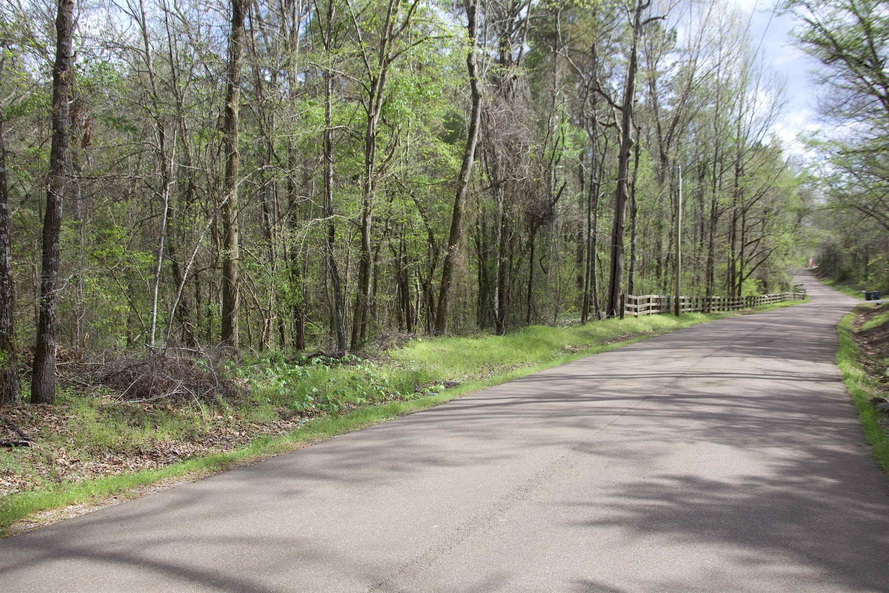 780 Breedlove Road Michigan City, MS 38647 - Photo 4 of 11