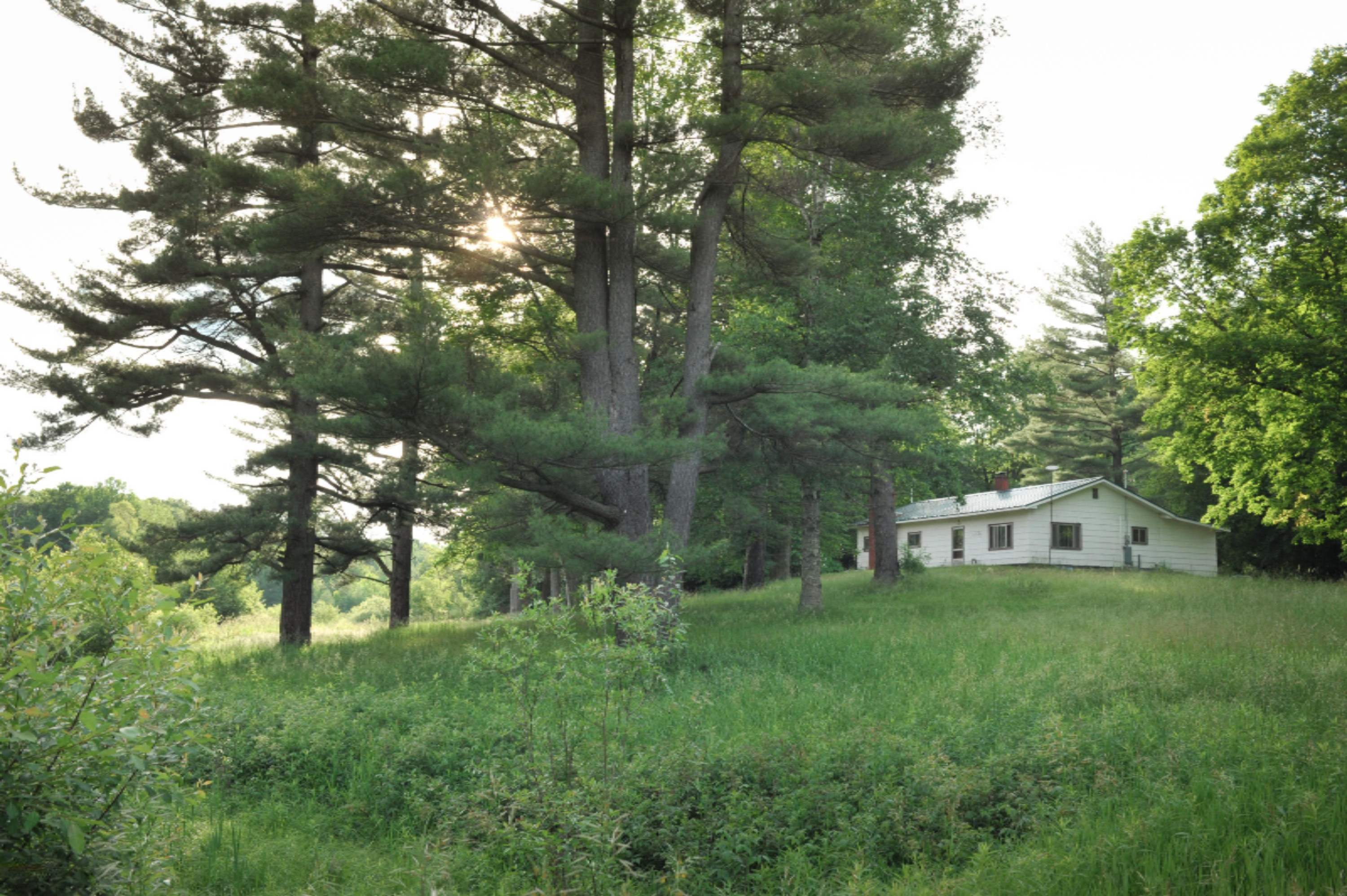 3460 East Colby Road Stanton, MI 48888 - Photo 19 of 25 ZornowCabin-15