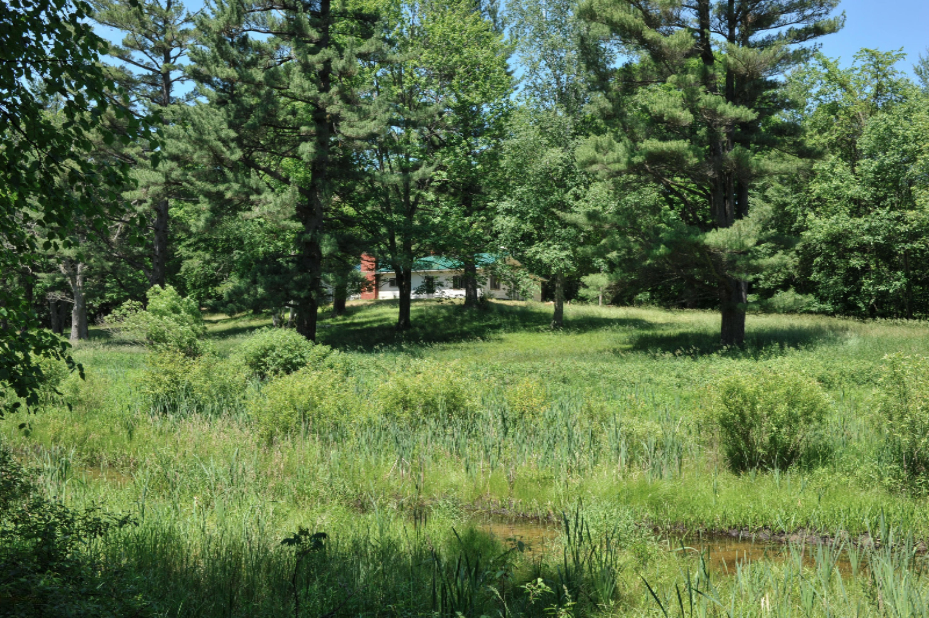 3460 East Colby Road Stanton, MI 48888 - Photo 23 of 25 ZornowCabin-20
