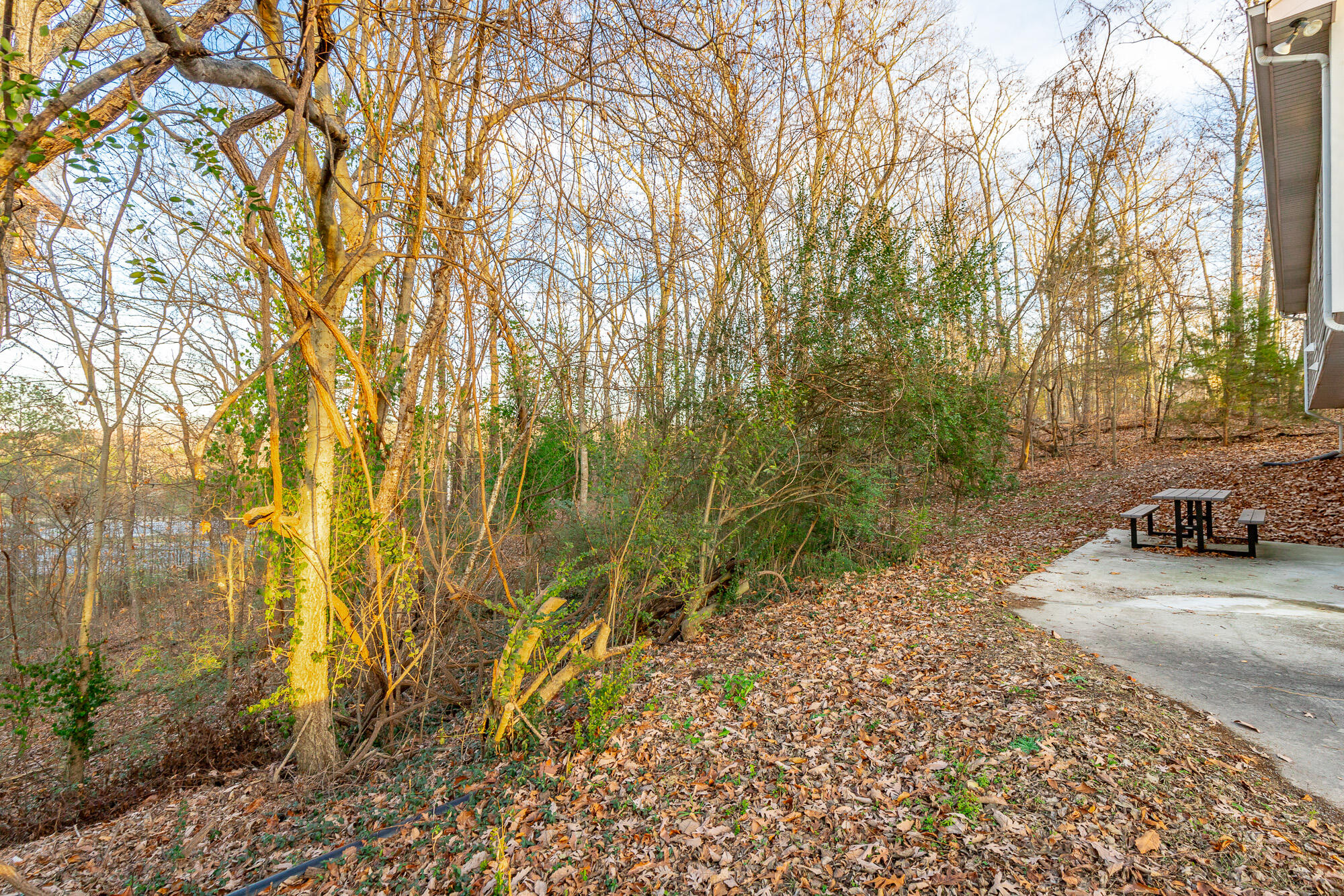 302 Shannon Drive Ringgold, GA 30736 - Photo 39 of 46 302 Shannon Drive HD-61