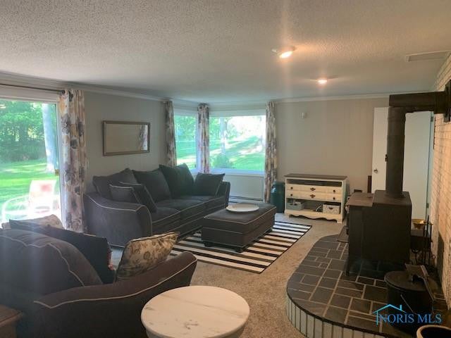 2700 Wilkins Road Swanton, OH 43558 - Photo 33 of 50 Gallery Image 33