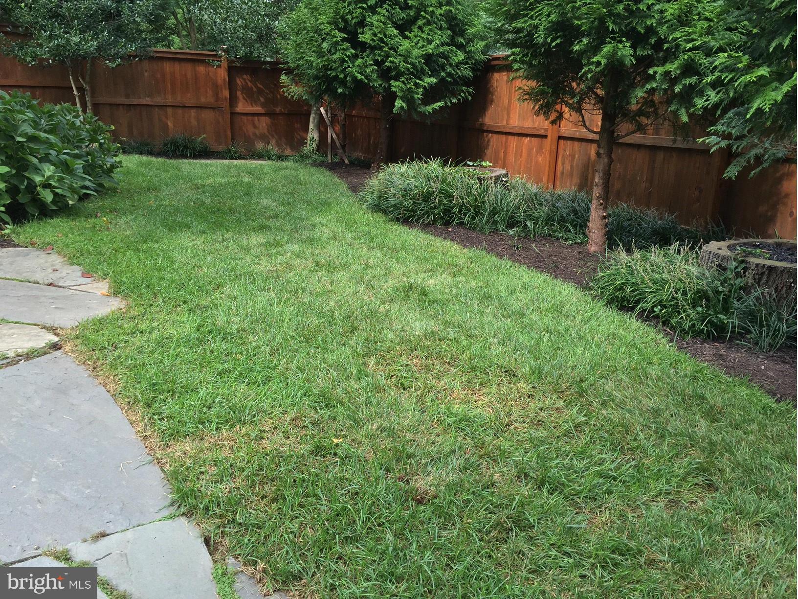 808 Chumleigh Road Baltimore, MD 21212 - Photo 29 of 30 Another view of the yard