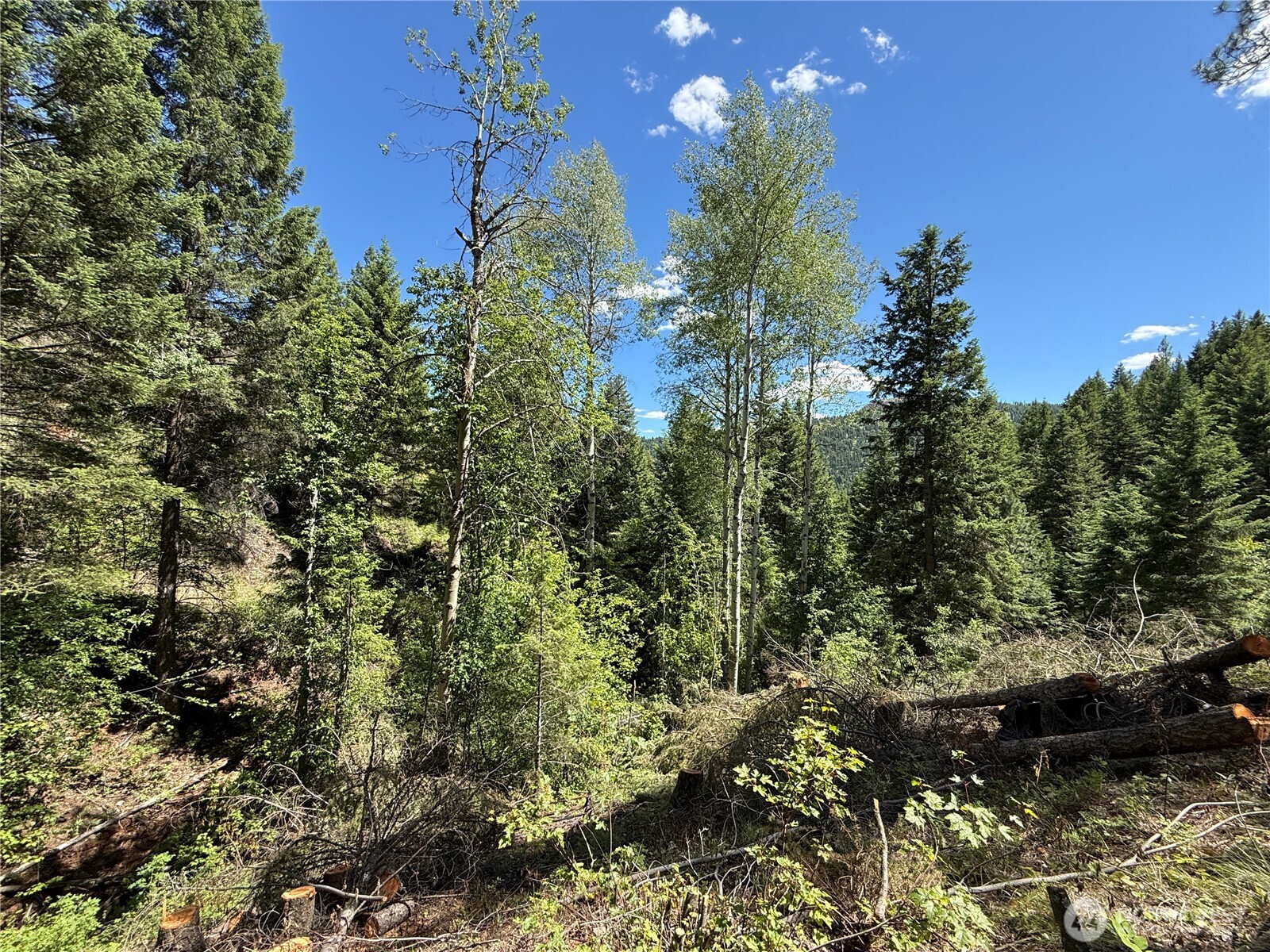 -tbd Toroda Creek Road Wauconda, WA 98859 - Photo 20 of 23
