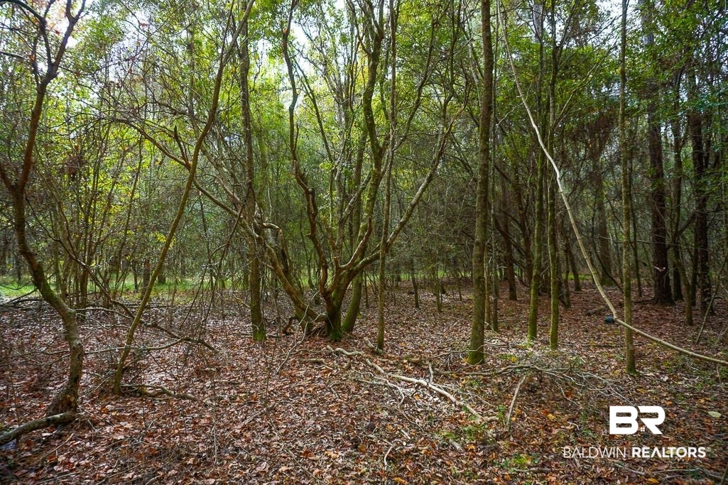 0 Smith Young Road Mobile, AL 36695 - Photo 4 of 8 View of wooded area