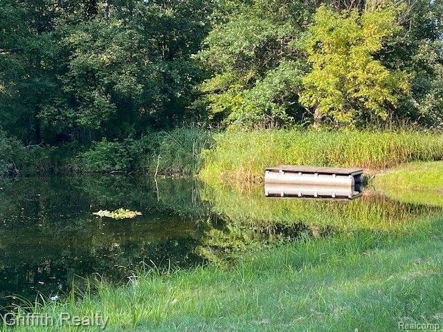 2493 East Clyde Road Howell, MI 48855 - Photo 5 of 63
