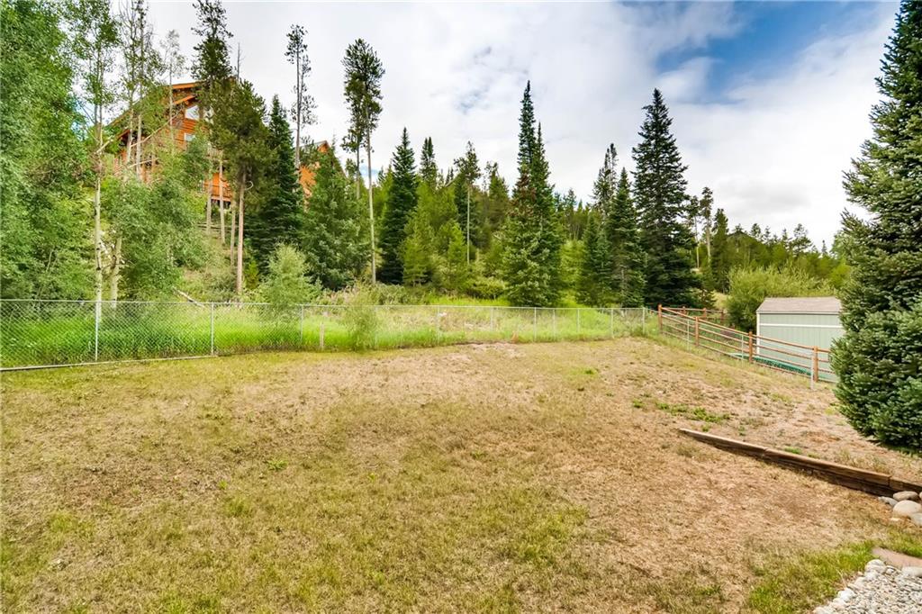 738 Deer Path Road Dillon, CO 80435 - Photo 22 of 25 a view of a field with trees in the background