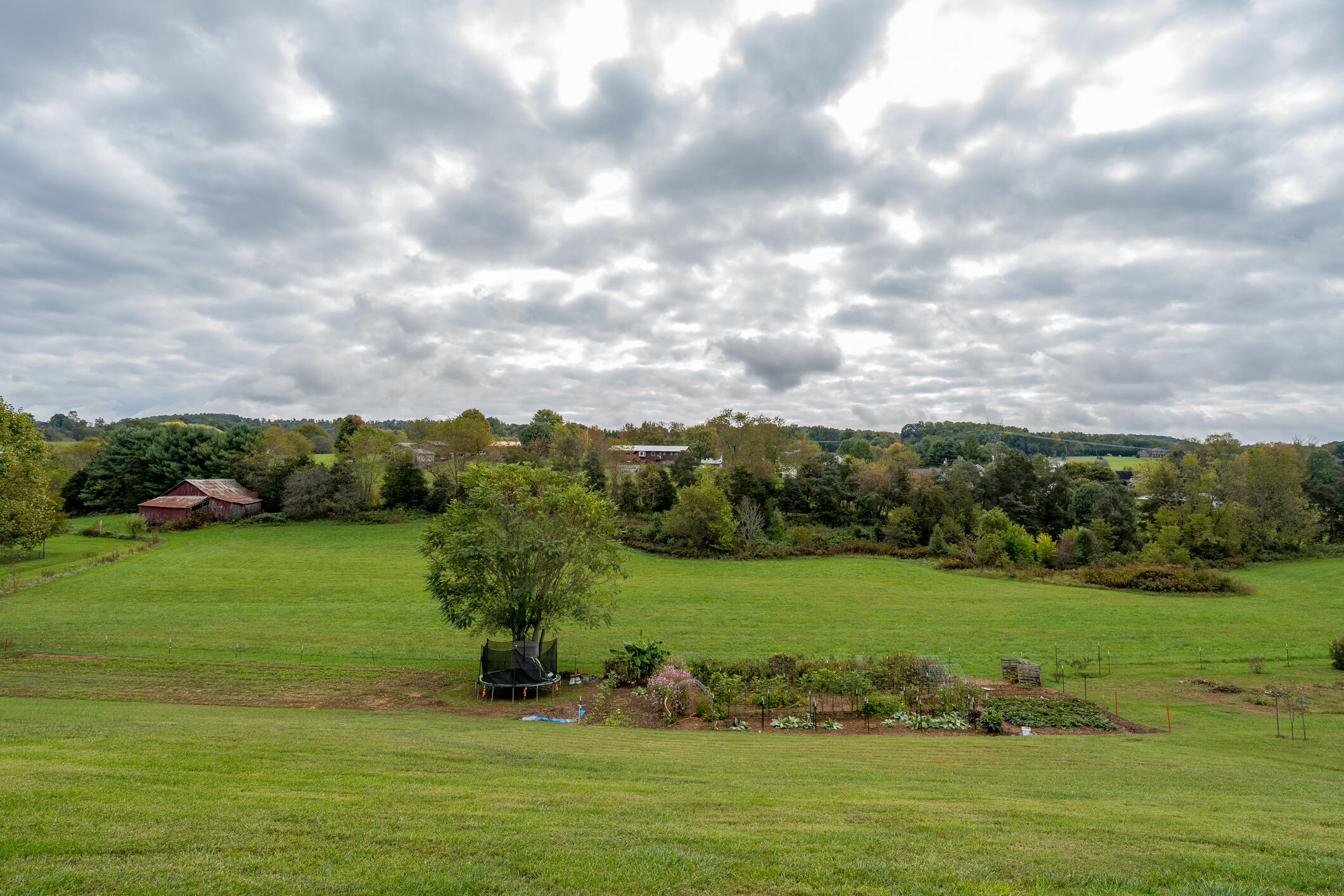 1034 Painter Road Jonesborough, TN 37659 - Photo 7 of 68 1034 Painter Road (35 of 68)