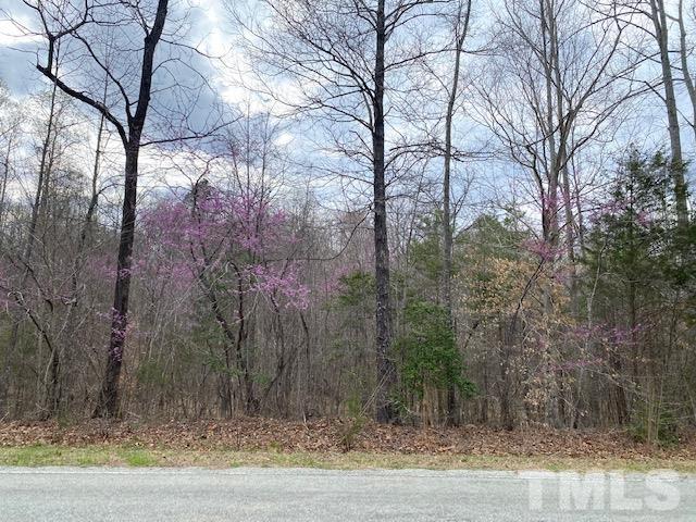 0 Stoney Mountain Road Rougemont, NC 27572 - Photo 1 of 9 a view of a yard with large trees