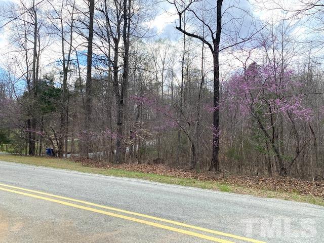 0 Stoney Mountain Road Rougemont, NC 27572 - Photo 3 of 9 a view of a house with a yard and trees