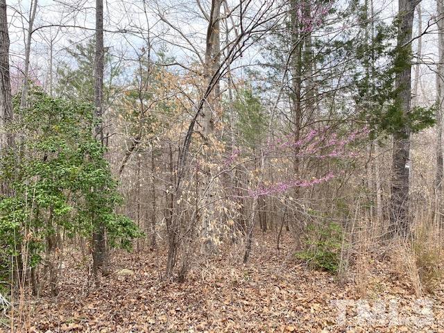 0 Stoney Mountain Road Rougemont, NC 27572 - Photo 4 of 9