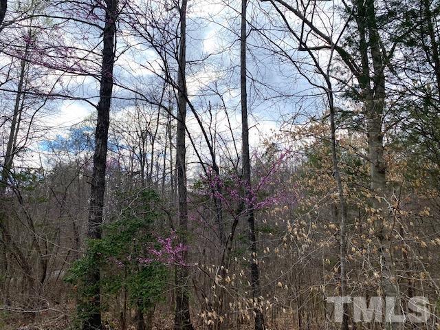 0 Stoney Mountain Road Rougemont, NC 27572 - Photo 5 of 9 a view of a trees in a yard