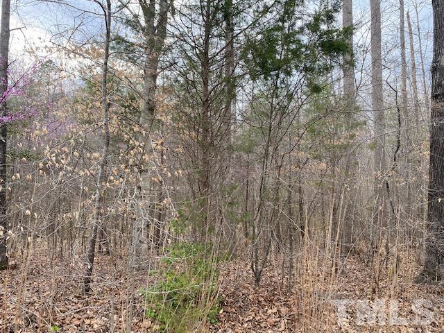 0 Stoney Mountain Road Rougemont, NC 27572 - Photo 6 of 9 a view of a yard
