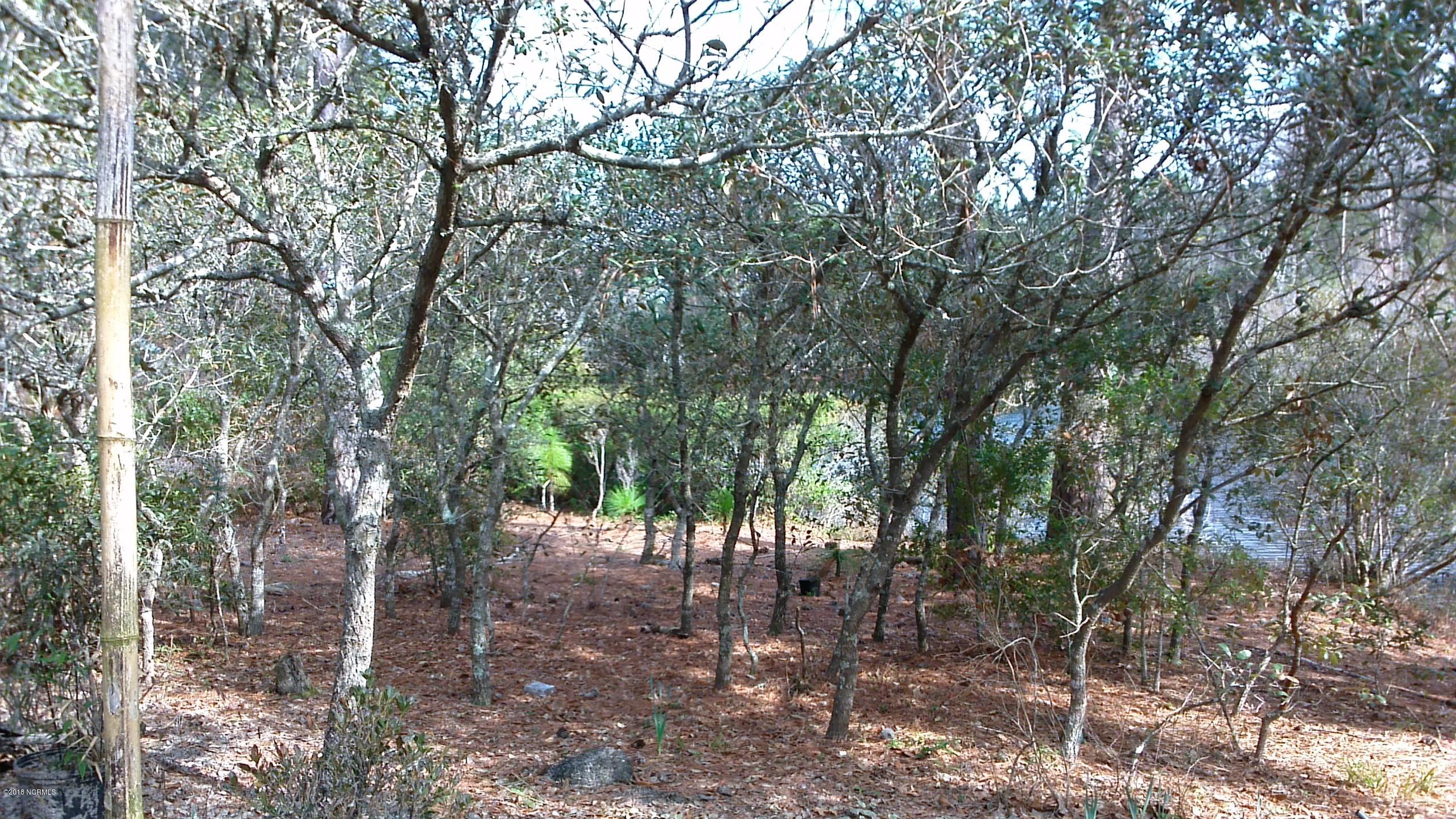 316 Okeechobee Road Wilmington, NC 28412 - Photo 31 of 43 WIN_20180218_141548