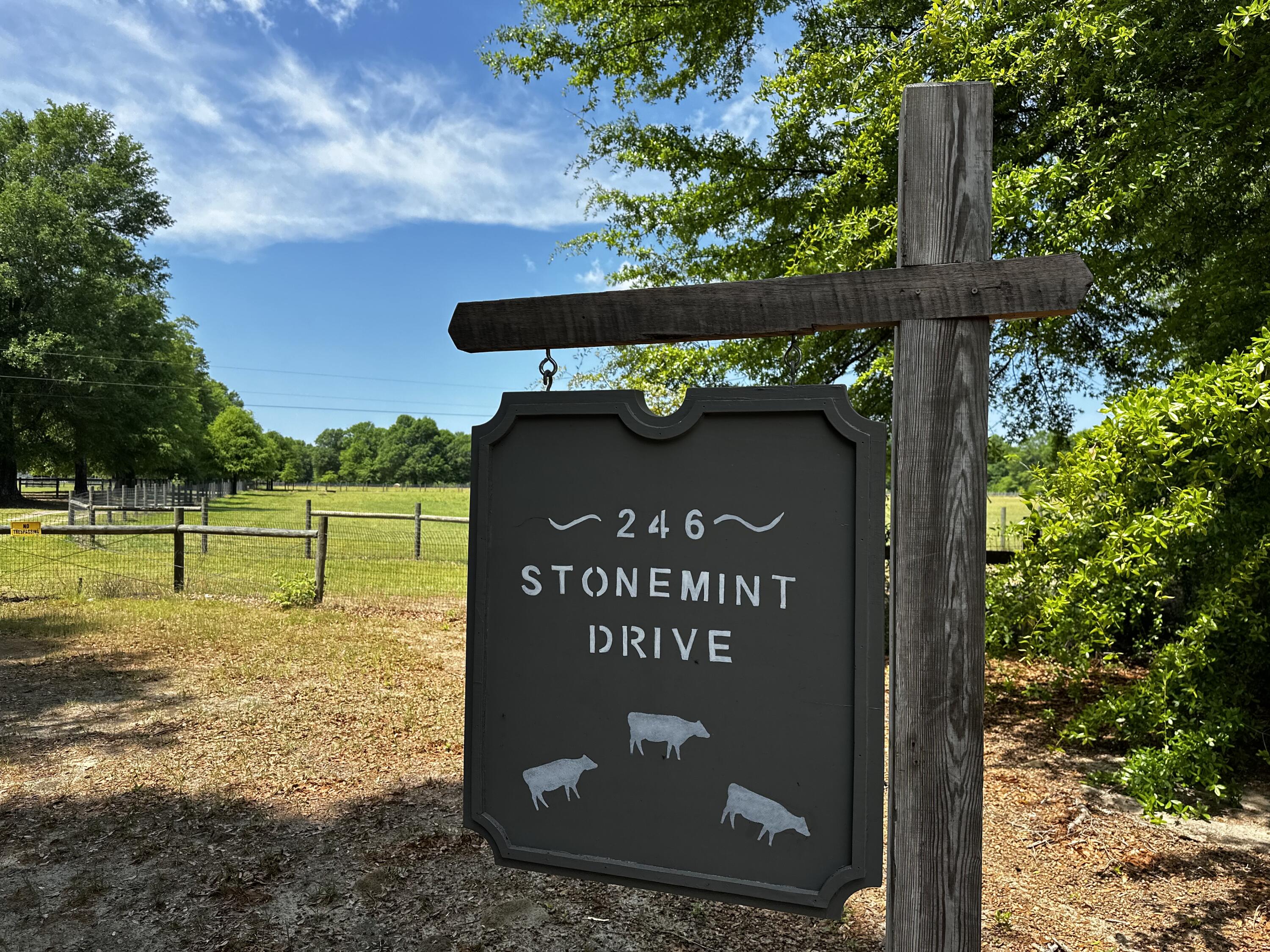 246 Stonemint Drive Springfield, SC 29146 - Photo 45 of 45