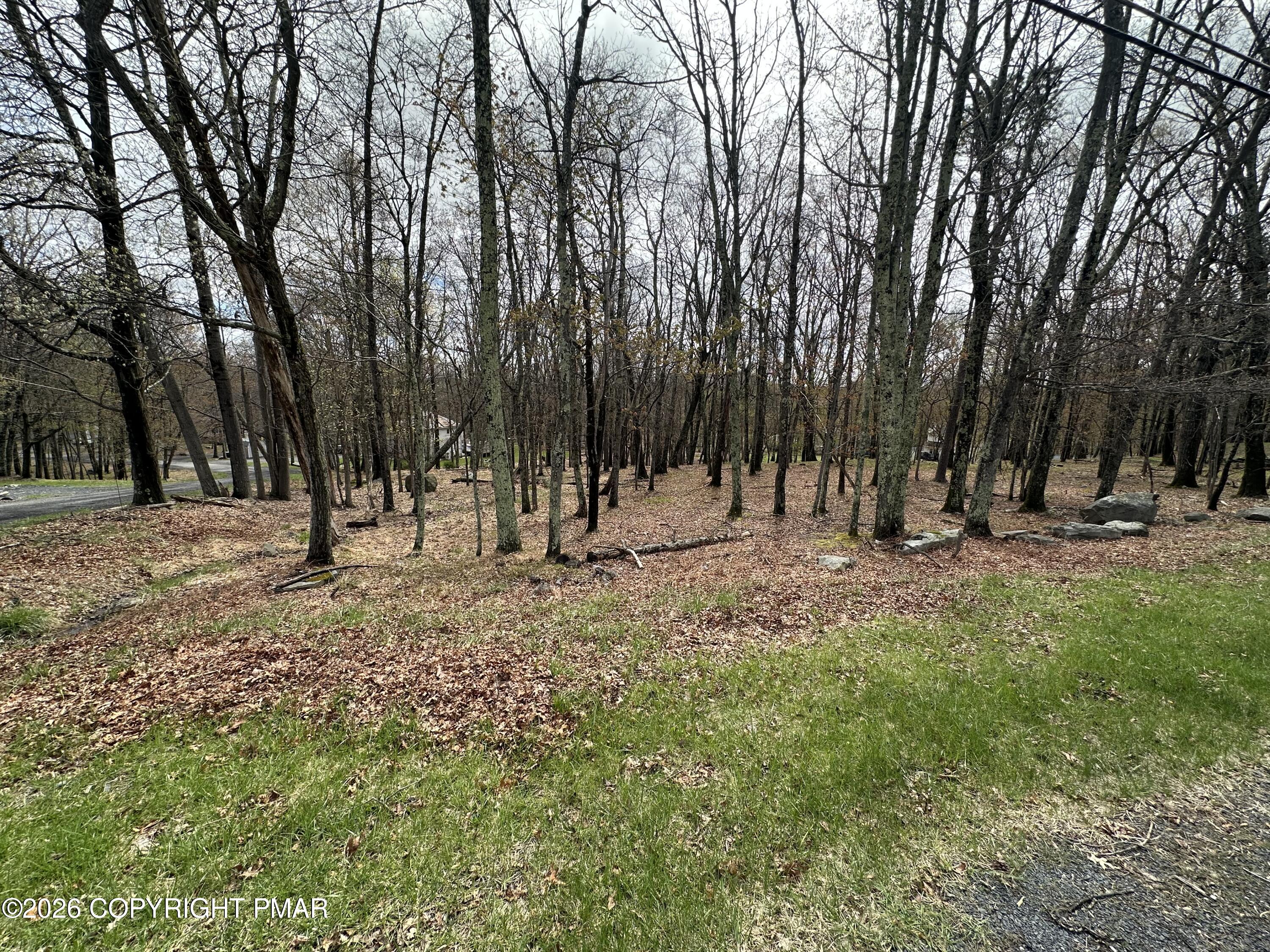 28 Pine Ridge Drive East Bushkill, PA 18324 - Photo 2 of 3 a view of outdoor space with trees