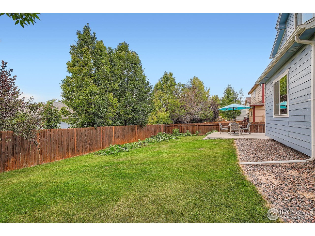 6178 Graden Street Frederick, CO 80530 - Photo 28 of 28 a backyard of a house with lots of green space