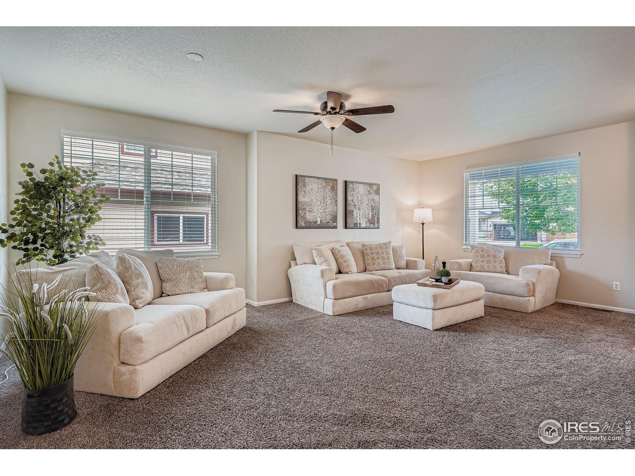 6178 Graden Street Frederick, CO 80530 - Photo 6 of 28 a living room with furniture and a large window