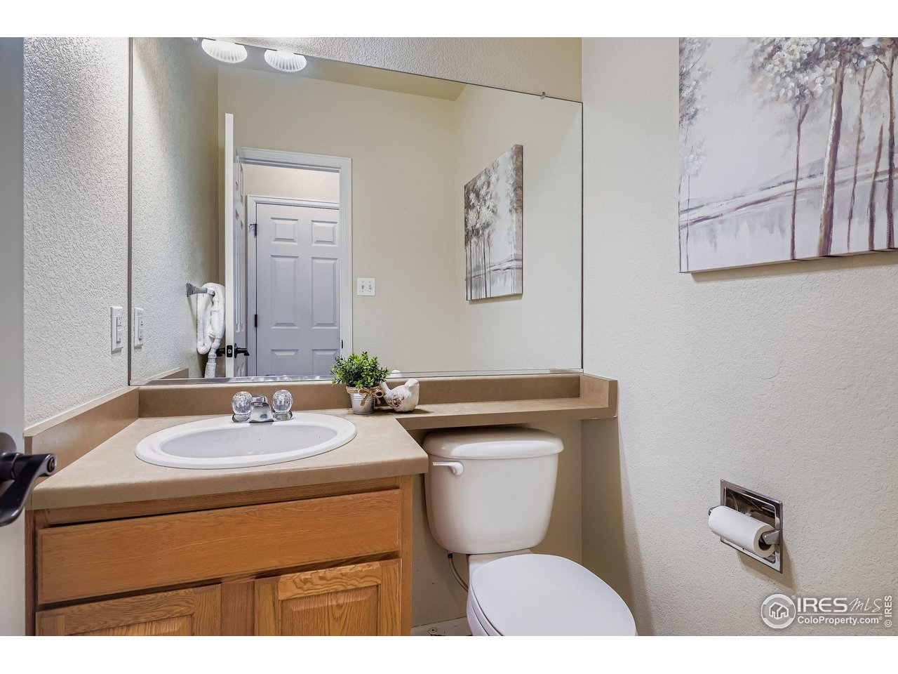 6178 Graden Street Frederick, CO 80530 - Photo 8 of 28 a bathroom with a toilet sink and mirror