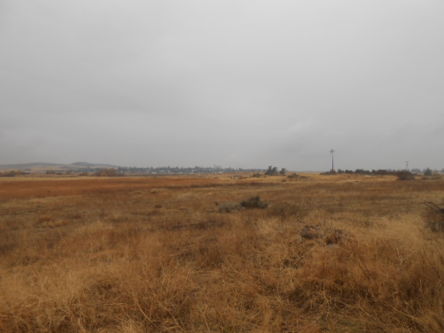 52188 Euclid Road East Reardan, WA 99029 - Photo 18 of 20 Gallery Image 18