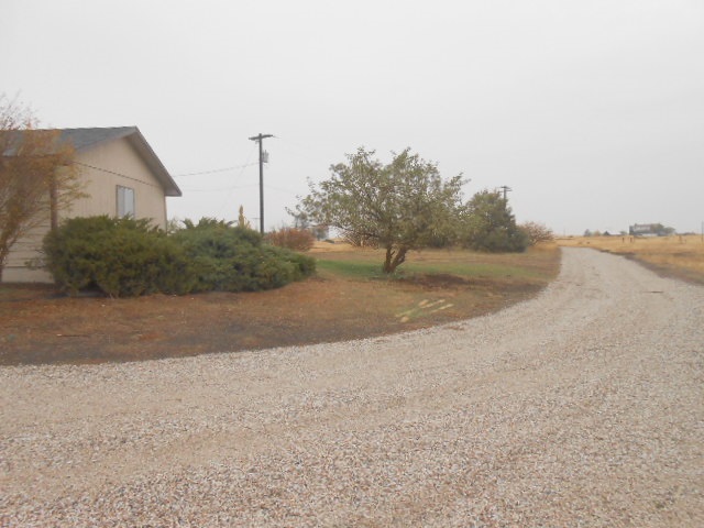 52188 Euclid Road East Reardan, WA 99029 - Photo 20 of 20 Gallery Image 20
