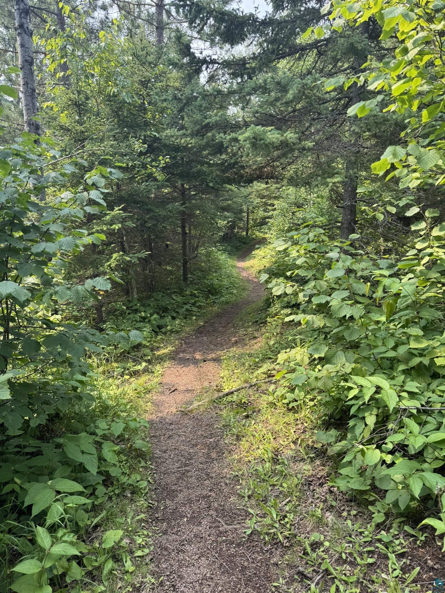Xx Xx High Ridge Drive Silver Bay, MN 55614 - Photo 26 of 29