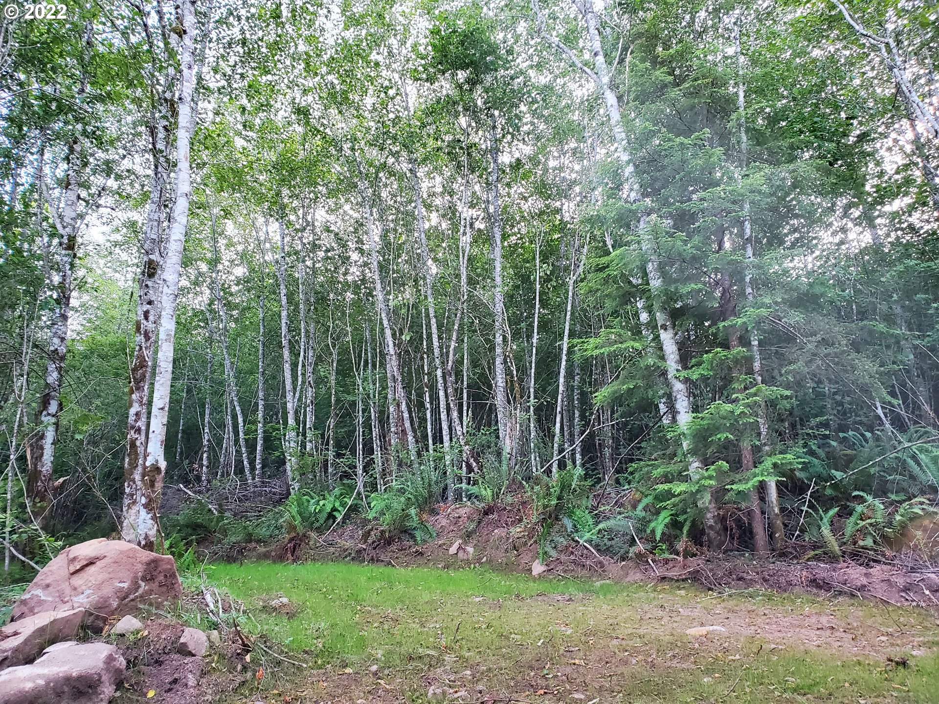 0 Northeast Boulder Creek Road Camas, WA 98607 - Photo 2 of 11 a view of a backyard with plants and large trees