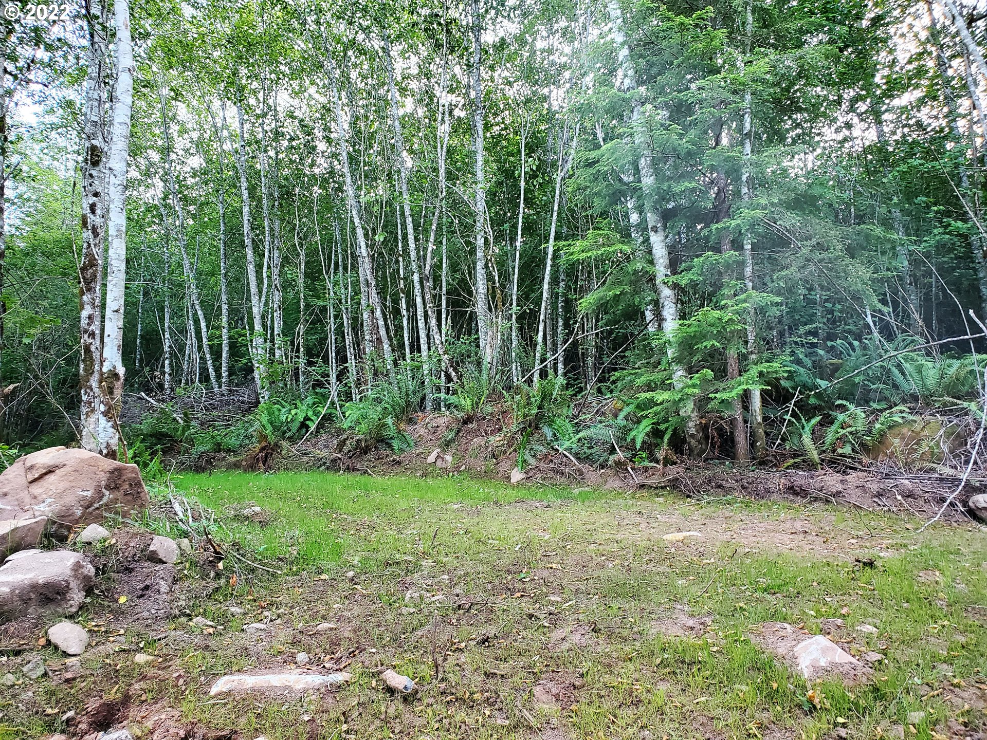 0 Northeast Boulder Creek Road Camas, WA 98607 - Photo 8 of 11 a view of a yard with a tree