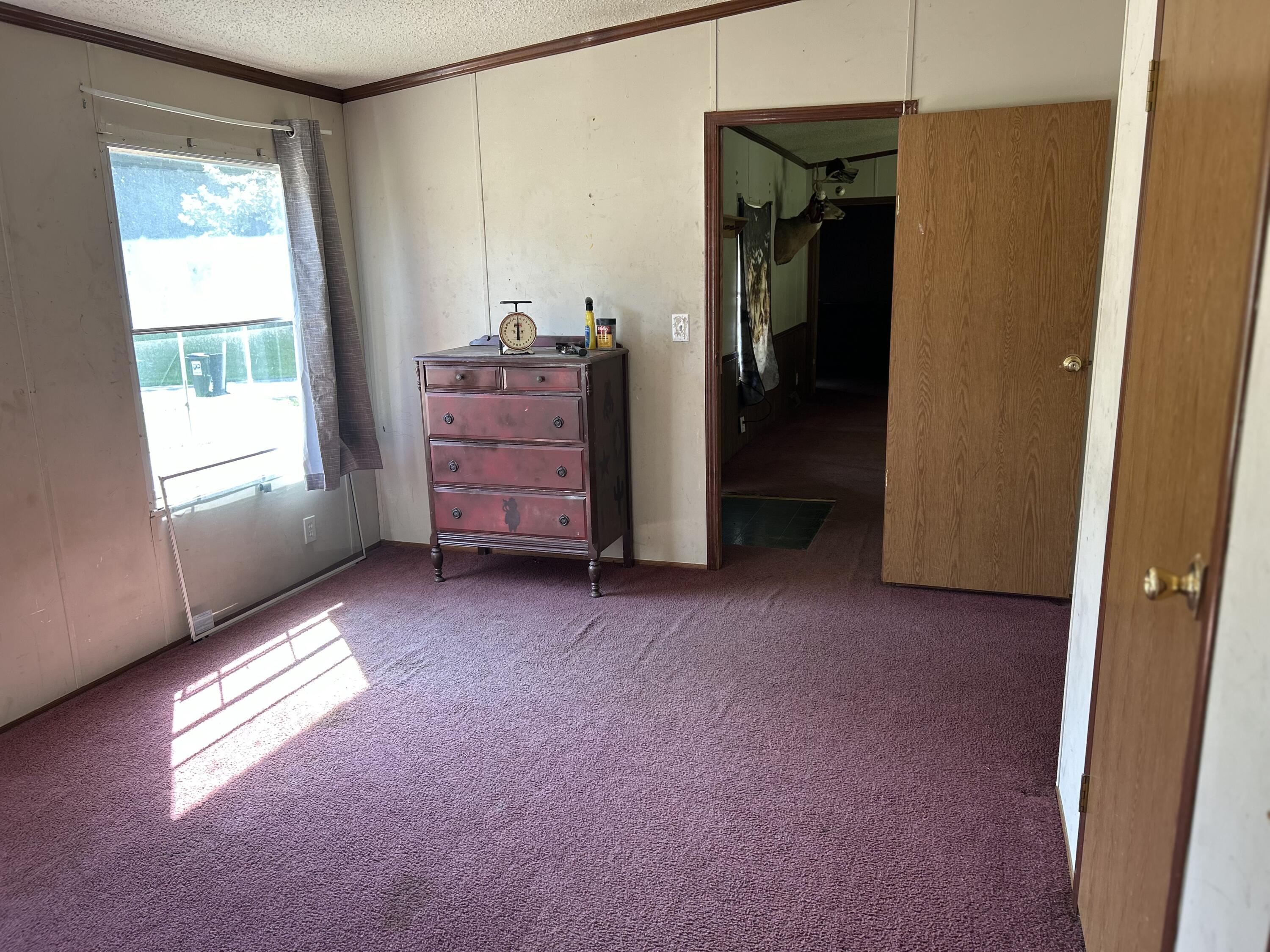 553 Borden Road Wickliffe, KY 42087 - Photo 62 of 66 IMG_4588