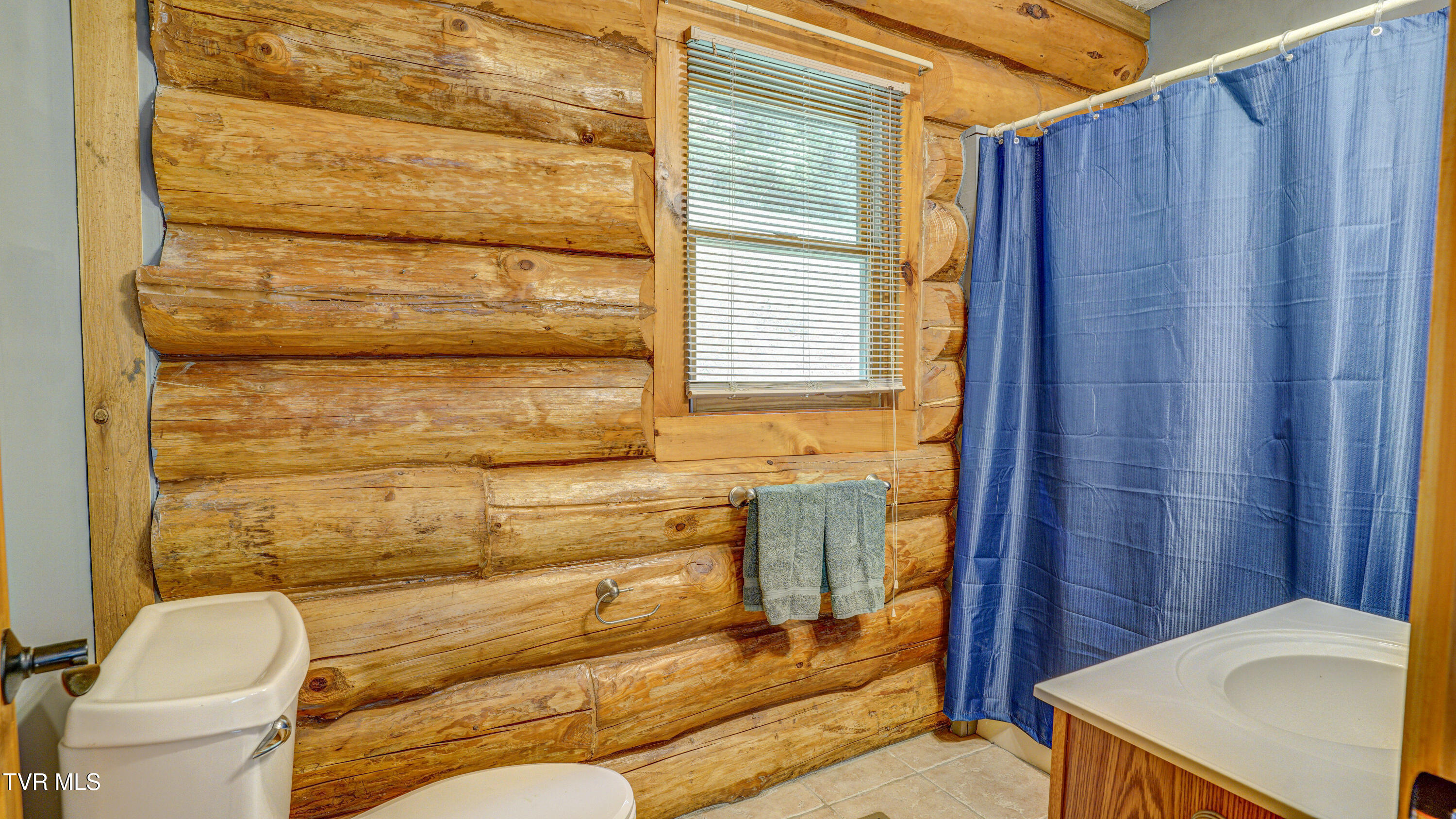 366 Judge Ben Allen Road Elizabethton, TN 37643 - Photo 39 of 48 _DSC0909_10_11_12_13
