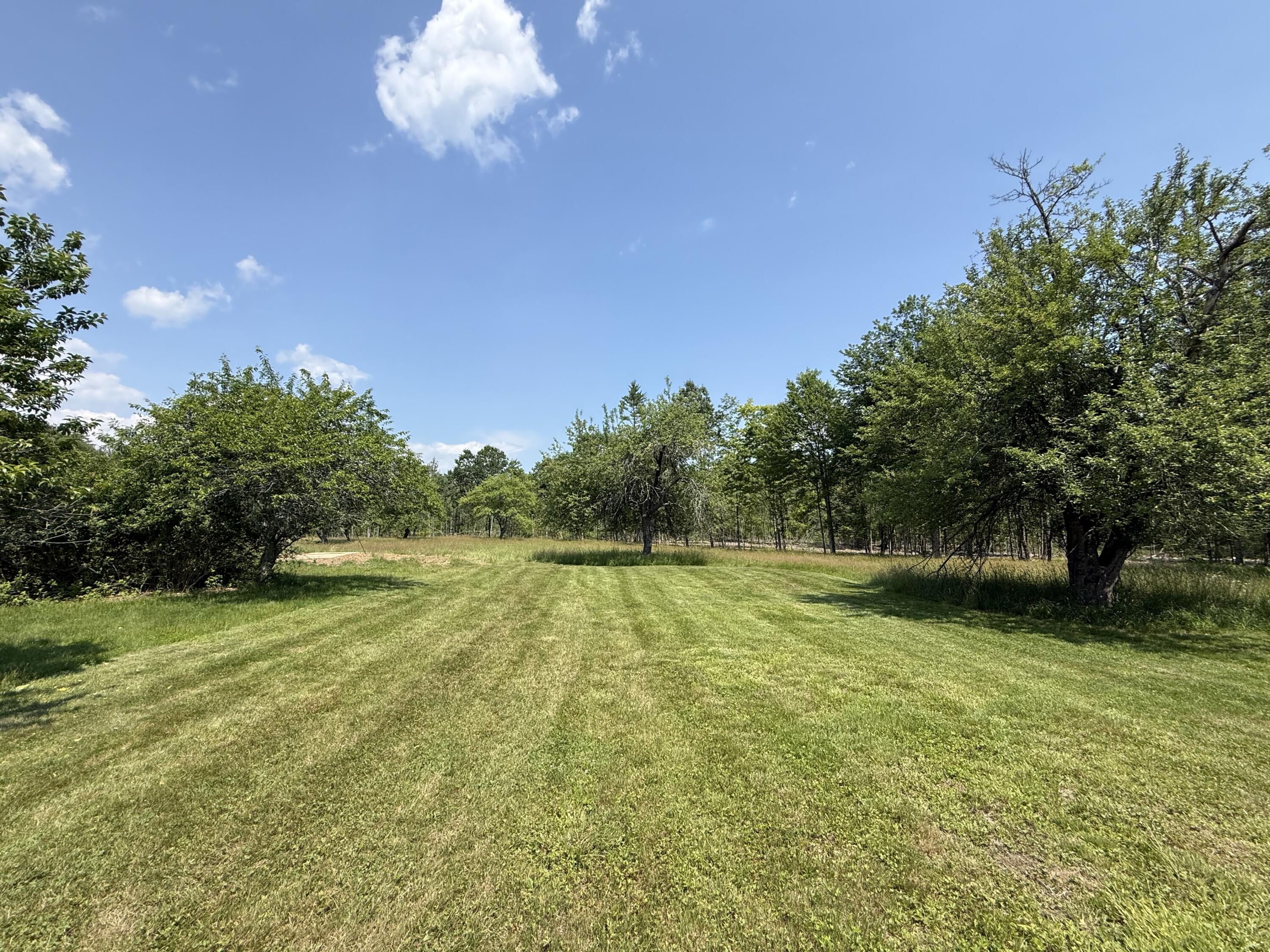 58 Long Swamp Road Berwick, ME 03901 - Photo 5 of 12 IMG_5904