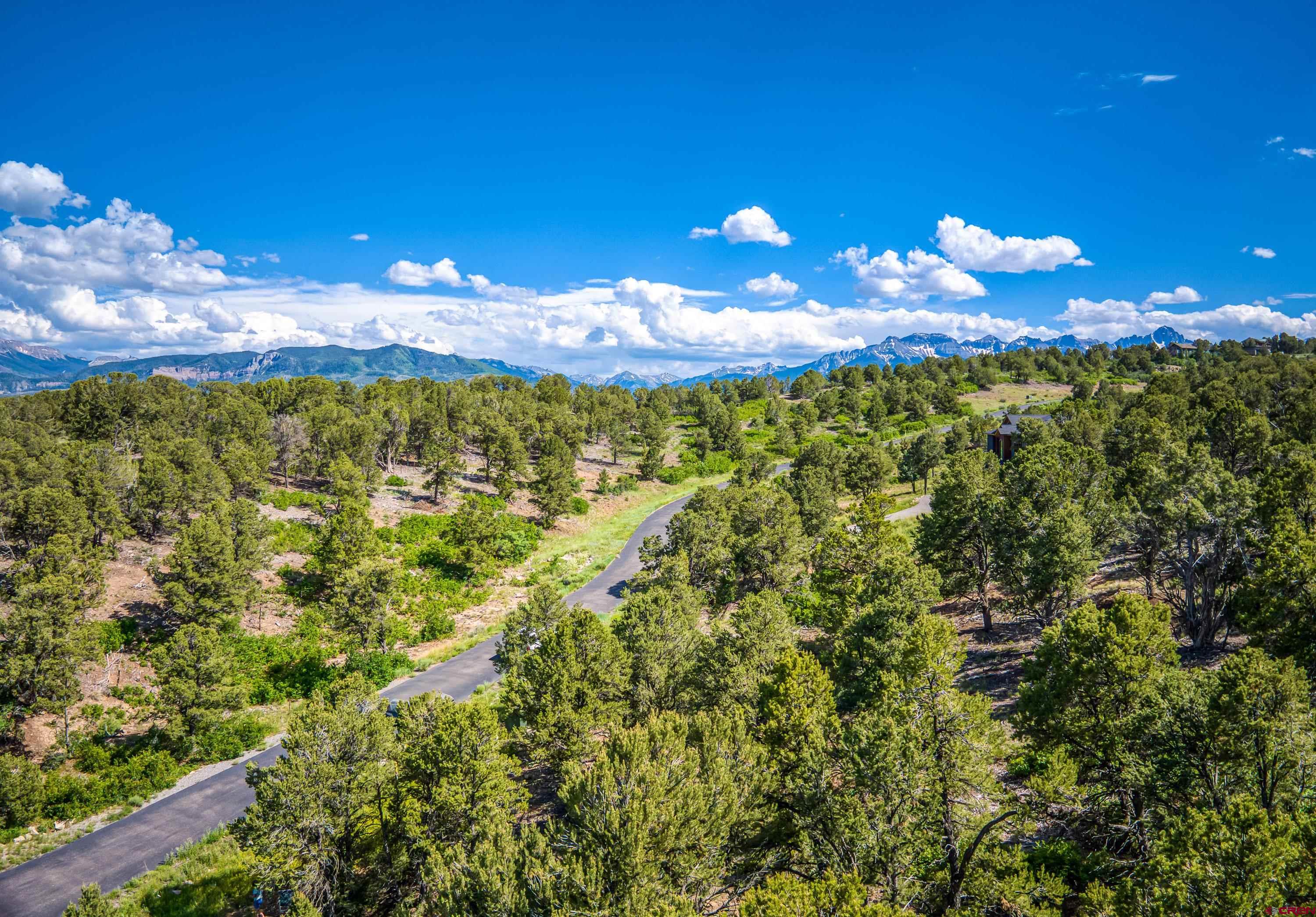 Lot 9 Pointe Escape Drive Ridgway, CO 81432 - Photo 31 of 33