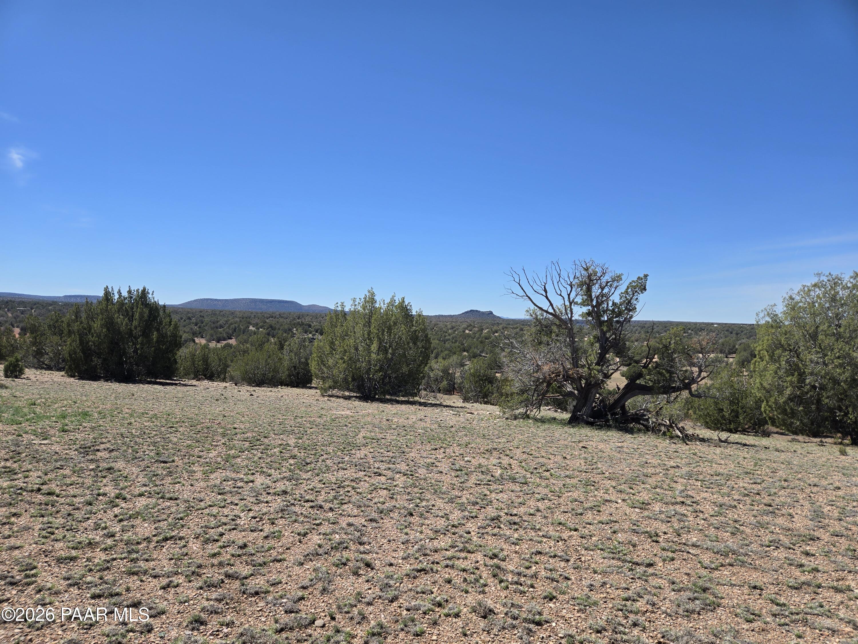 390 Haywire Road Ash Fork, AZ 86320 - Photo 7 of 15 20260323_123010