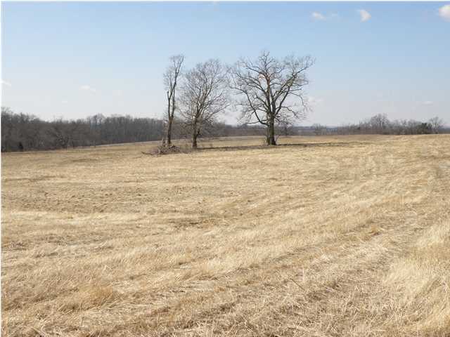 100 Little Union Road, Unit T Fairfield, KY 40020 - Photo 2 of 3 Additional Photo