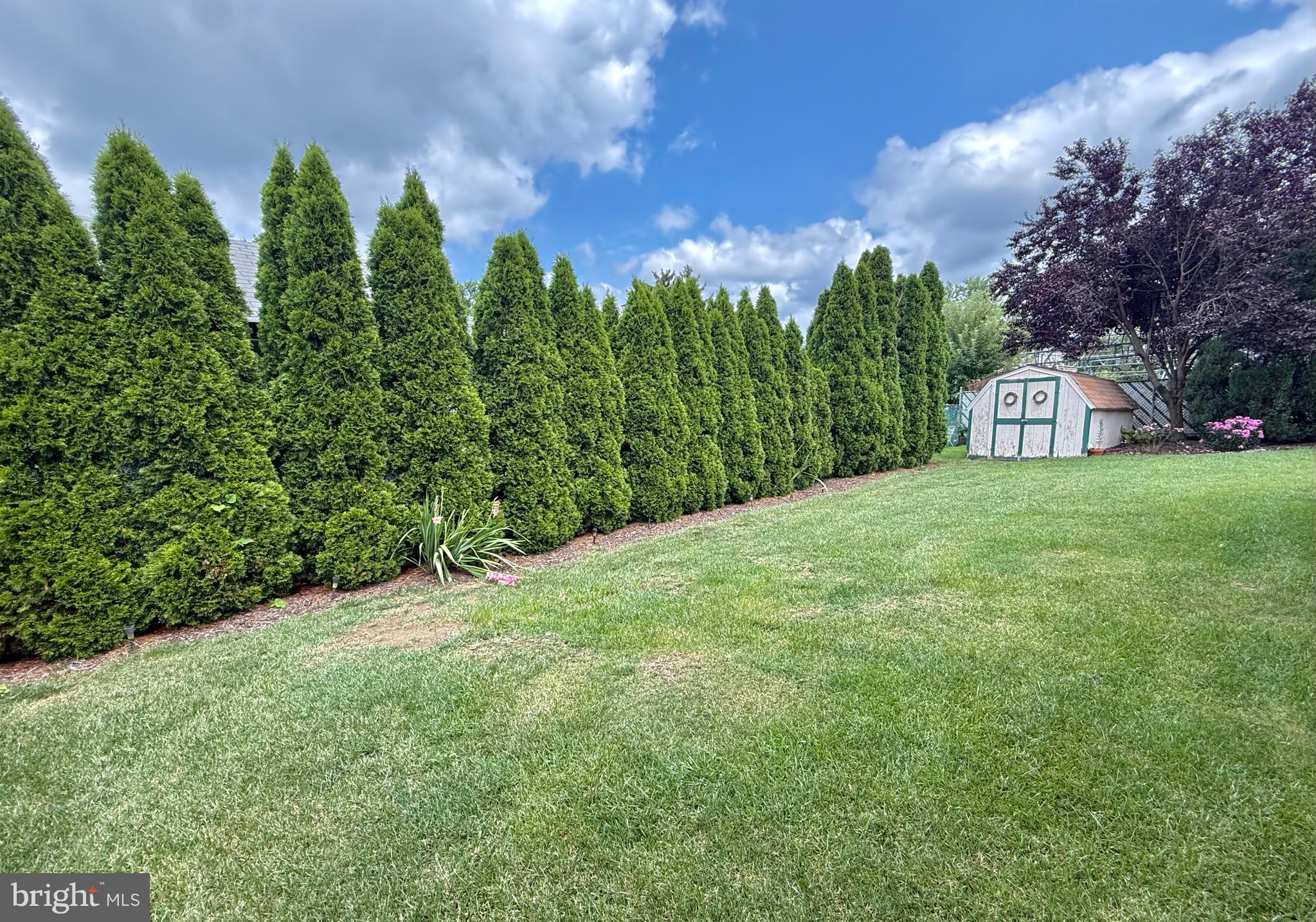 24 Homestead Road Stratford, NJ 08084 - Photo 36 of 39 Privacy for the backyard
