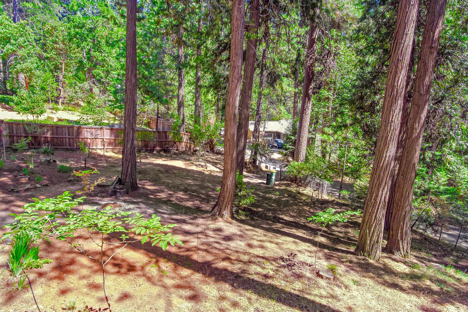 6148 Red Robin Road Placerville, CA 95667 - Photo 22 of 34