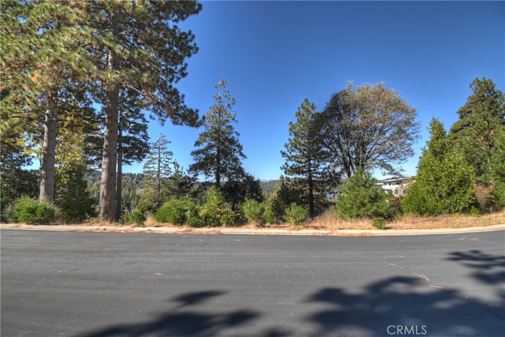 115 Mill Pond Road Lake Arrowhead, CA 92352 - Photo 11 of 19 a view of yard with green space