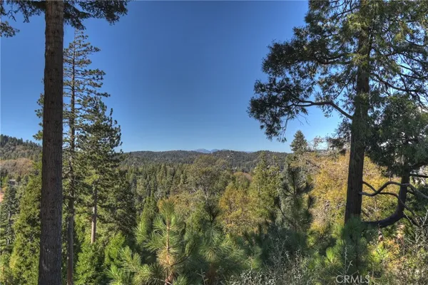 a view of a bunch of trees