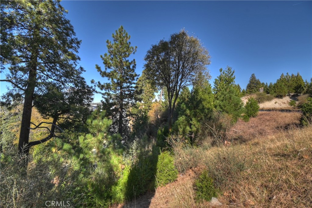 115 Mill Pond Road Lake Arrowhead, CA 92352 - Photo 14 of 19 a view of a yard with a tree