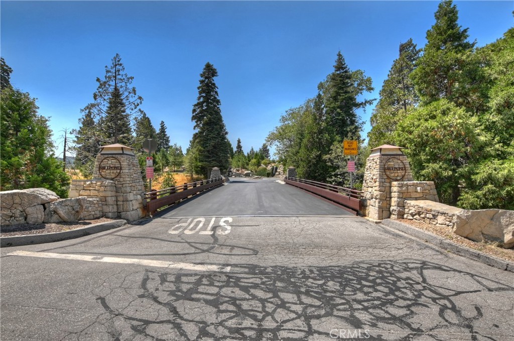 115 Mill Pond Road Lake Arrowhead, CA 92352 - Photo 17 of 19 a view of a street with large trees