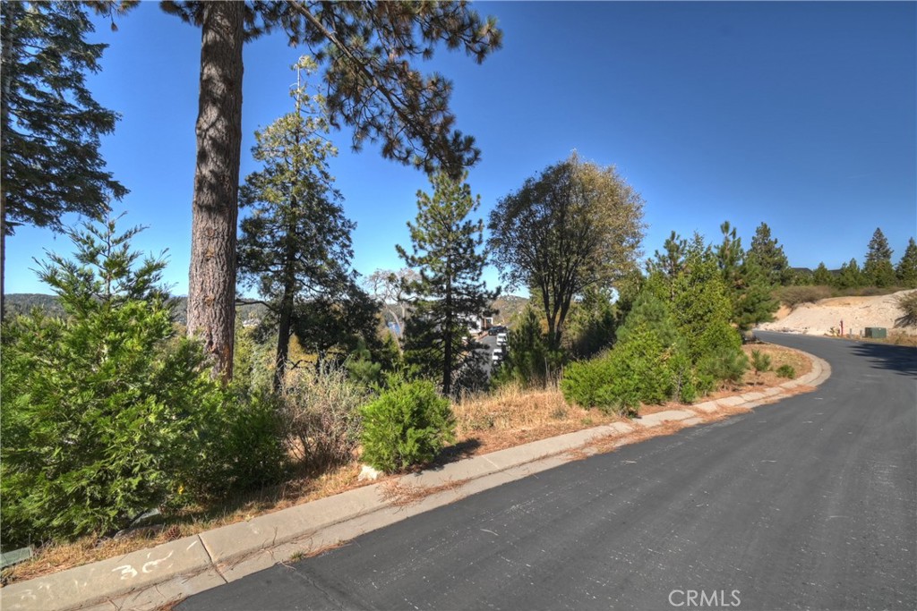 115 Mill Pond Road Lake Arrowhead, CA 92352 - Photo 18 of 19 a view of a street with a tree
