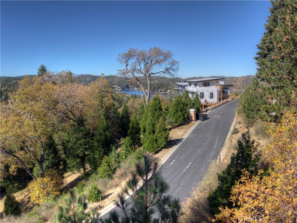 115 Mill Pond Road Lake Arrowhead, CA 92352 - Photo 19 of 19 a view of a fountain in front of a house