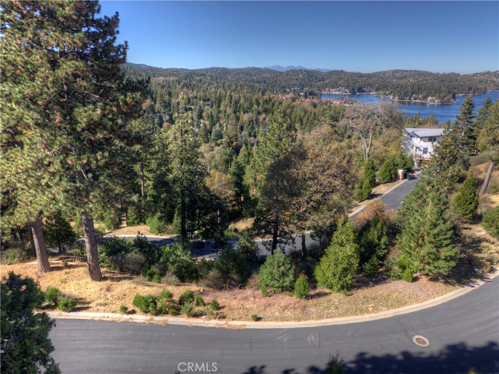 115 Mill Pond Road Lake Arrowhead, CA 92352 - Photo 3 of 19 a view of a wooden house with a yard and large trees