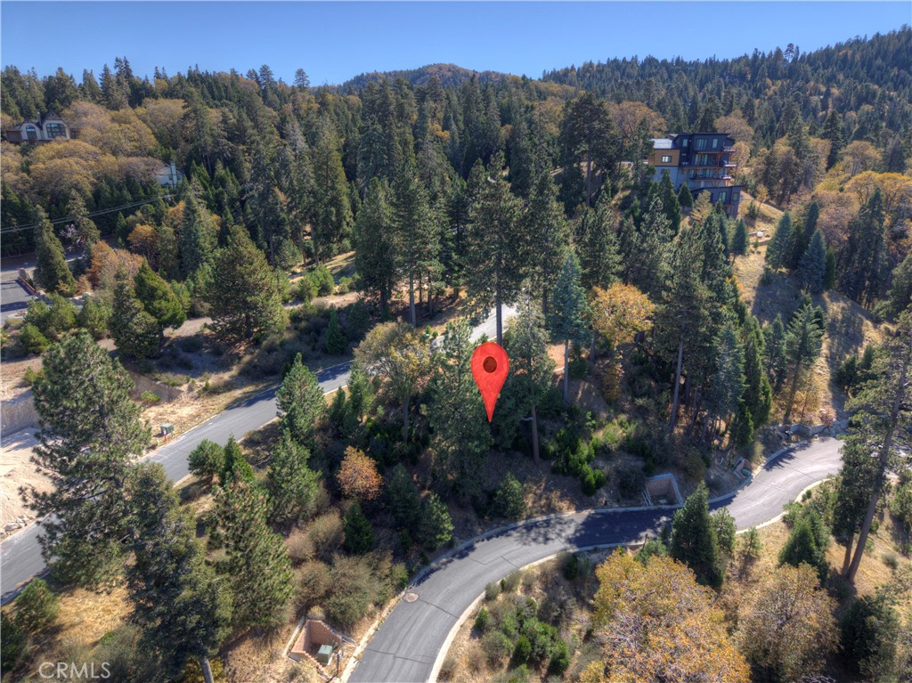 115 Mill Pond Road Lake Arrowhead, CA 92352 - Photo 7 of 19 an aerial view of a house with a yard