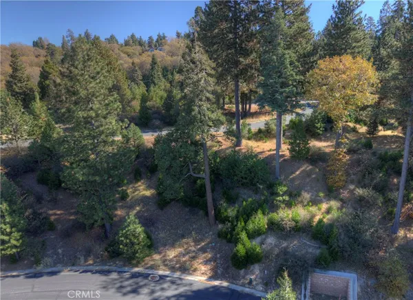 a big yard with lots of green space