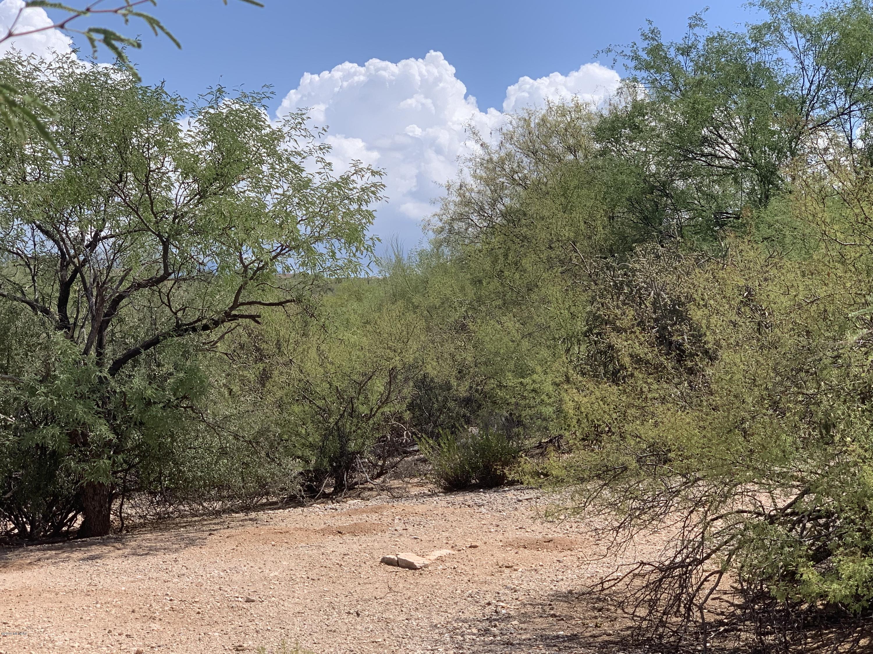 6774 East Snyder Road, Unit 16 Tucson, AZ 85750 - Photo 11 of 13