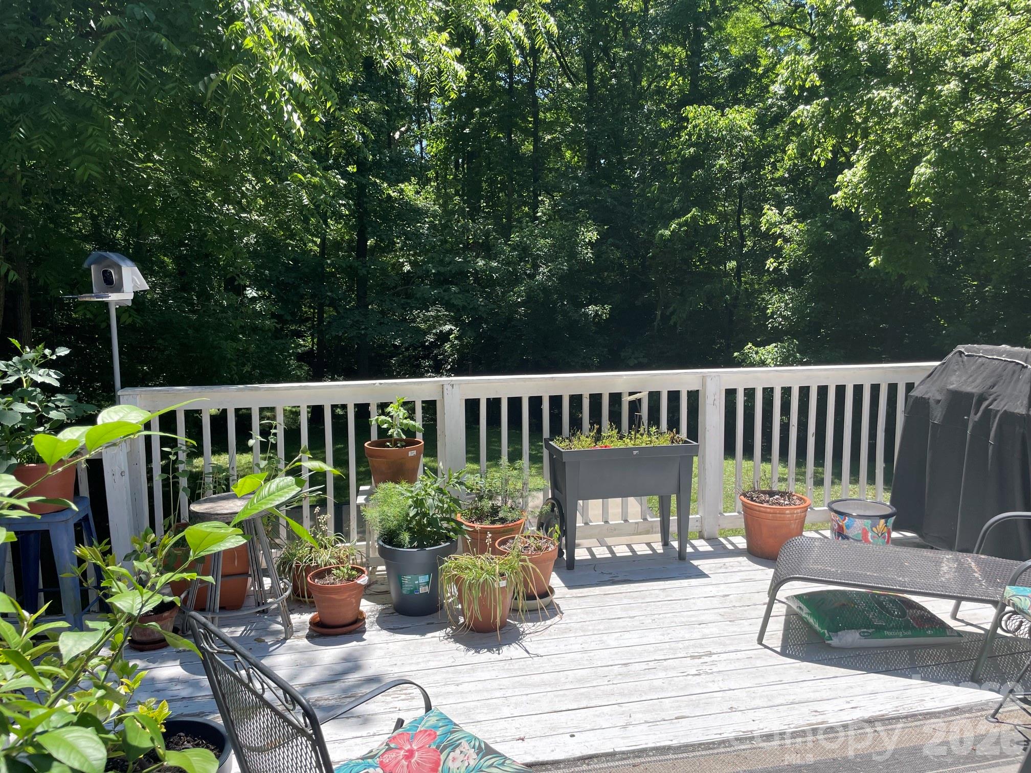 3800 Oldfield Road Charlotte, NC 28226 - Photo 28 of 32 a view of a chair and tables back yard of the house