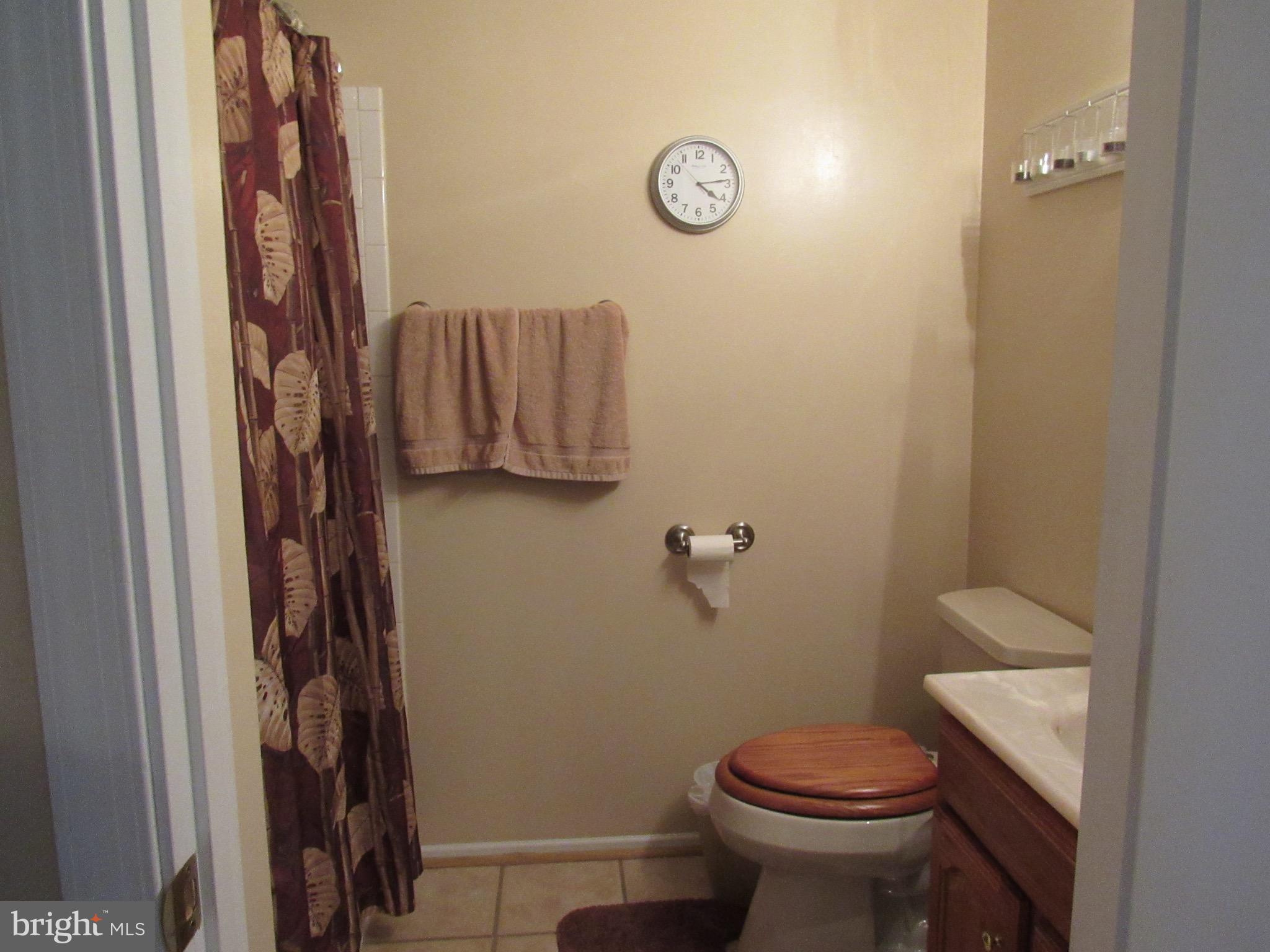 8210 Grainfield Road Severn, MD 21144 - Photo 19 of 28 Bath (Master)