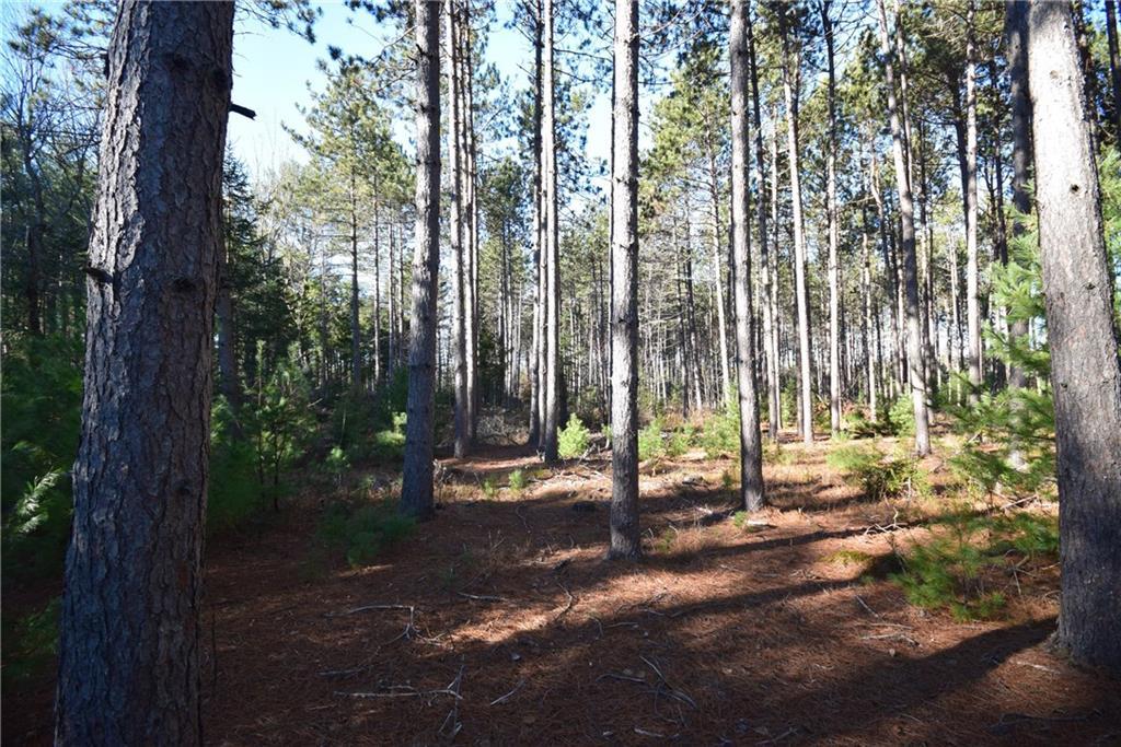 0 Rt 143 Dixmont, ME 04932 - Photo 9 of 18 Maine Land for Sale