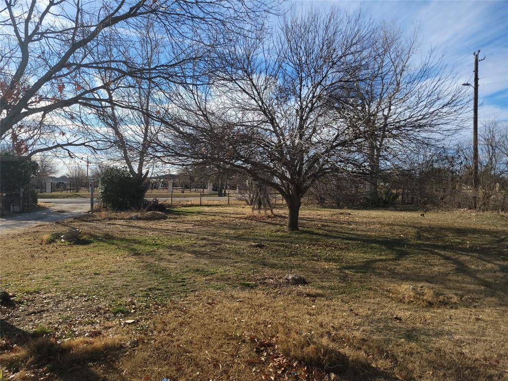 10936 Sam Reynolds Road Justin, TX 76247 - Photo 3 of 11 a view of yard covered with green space