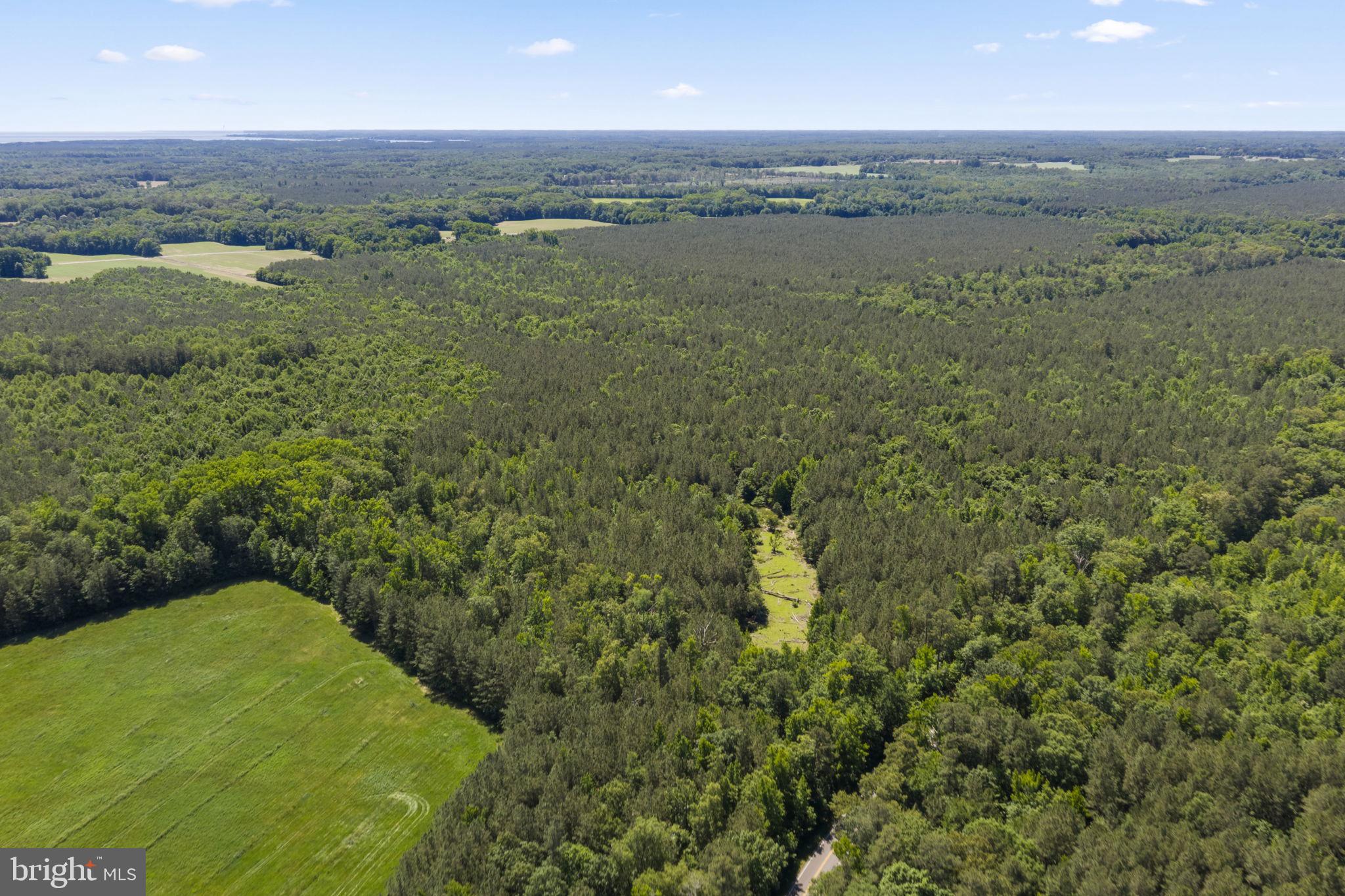 1 Wilton Road Hague, VA 22469 - Photo 9 of 13 a view of a green field with an ocean view
